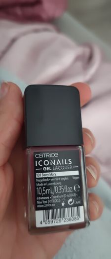 Berry colour Catrice gel lacquer new