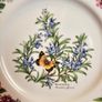 Royal Worcester Herbs Dinnerware , Set of two Rosemary and Black Mustard plates Image 6