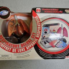 Eastcolight  Respiratory Deluxe Set