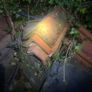 ridge tiles 2.5 m Image 2