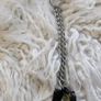 dog collars, 2 for 1 deal. New. Image 2