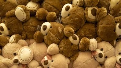5 Bags of teddys