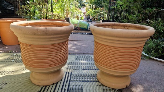 Terracotta urns