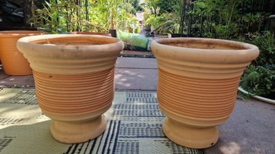 Terracotta urns