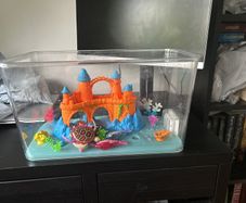 fish tank