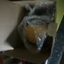 BNWT Russian Doll PiggyBank Image 5