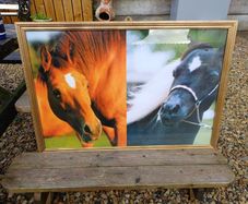 Vintage Equestrian Picture