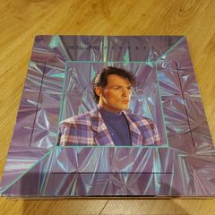 The Associates - Perhaps - Vinyl Record
