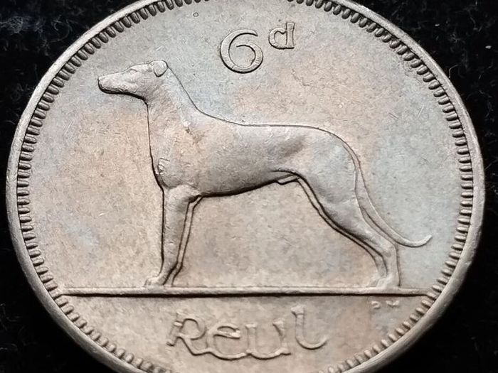 [#672] - Ireland 1960 | Irish 6p | Six Pence | Wolfhound | KM.13a