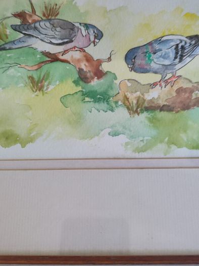 Lovely Framed Watercolor Painting Signed C. Collins .