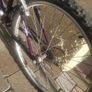 Raleigh Image 7