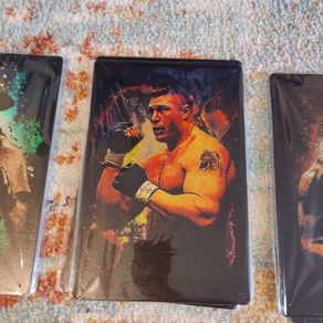 WWE Brock Lesnar tin metal sign