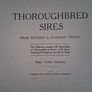 Book  Of Thoroghbred Sires. Image 2