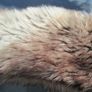 Stunning Long Faux Fur Scarf with Tassels Image 3