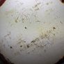 Large Vintage Vallauris Style Studio Pottery Bowl Image 6