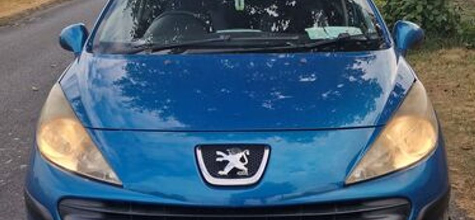 2009 Peugeot 207