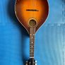 Levin Mandolin Image 5
