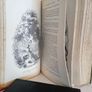 Tom Burke of 'Ours' by Charles Lever. With 44 Illustrations by Hablot Knight Browne ('Phiz') (GT936) Image 8