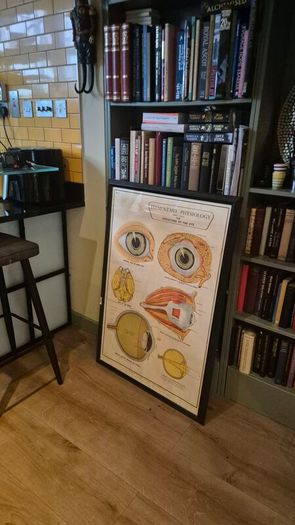 Large Framed Medial Illustration