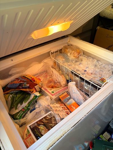 chest freezer