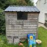Timber shed 6ft x 6ft Image 2