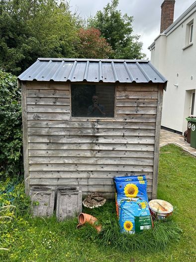 Timber shed 6ft x 6ft