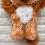 Hero Lion Ty Beanie Boo approx. 15 cm. Used Please see photos Image 6