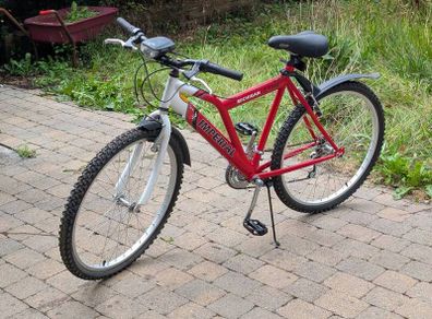 Bicycle