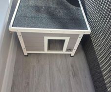 cat house both indoor and outdoor