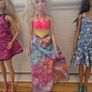Barbies & accessories Image 4