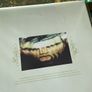 Earth - Hibernaculum (Limited Picture Disc) Image 7