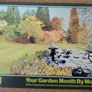 Premium Vintage Irish Culture, Guinness & Gardening Book Bundle 1980-1999 Image 5