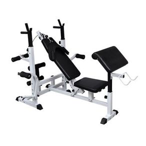 Multifunction Weight Bench(x2) + Weights