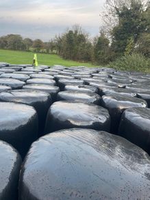 bales of silage