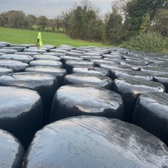 bales of silage
