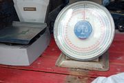 vintage the pair thirty euros