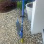 Blue two wheel scooter Image 2
