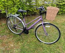 Ladies Appolo Haze ( Fully Serviced )