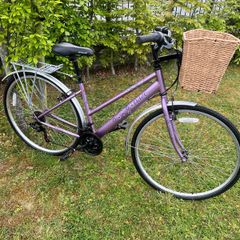 Ladies Appolo Haze ( Fully Serviced )