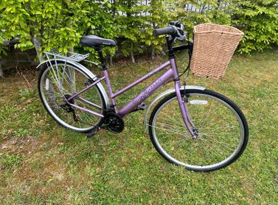 Ladies Appolo Haze ( Fully Serviced )