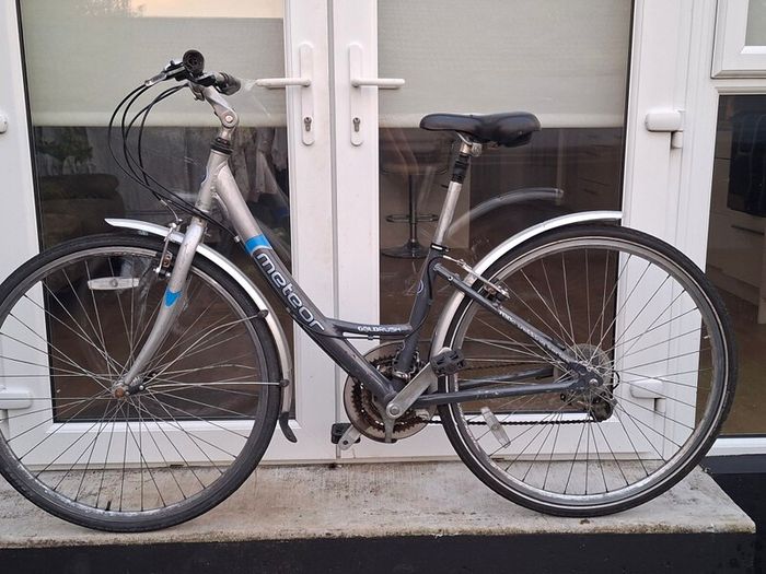 ladies bike