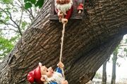 Gnome climbing statues for tree