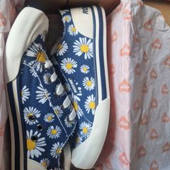 Daisy Rocket Dog shoes