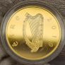 Ireland Gold Proof 2019 1/2 Ounce Pure Gold 100 Euro Coin Dail Eireann Commemorative Coin in Original Holder with COA Image 5