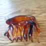 Hair Claw Clips x 5 for Sale Image 2