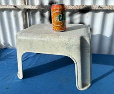 Plastic step