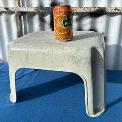 Plastic step