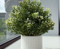 Minimalist Matte White Twisted Rope Pot and Desk Organizer 3D Printed with Free Post