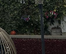 Basketball Net
