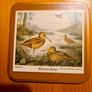Coasters.GAME BIRD THEME.  For Use Or Display. Image 4